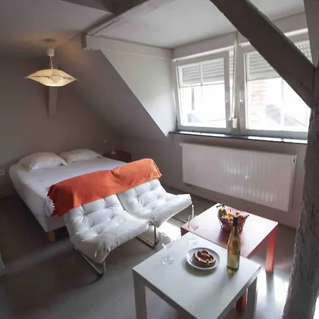 La Cour De Berthe Est Apartment Colmar Exterior photo
